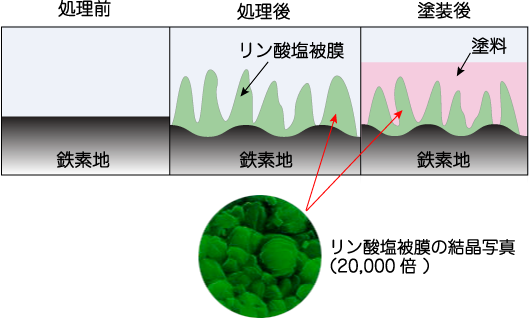 パーカー処理・パーカライジング法という「化学的ファンデーション」りん酸塩処理の模式図